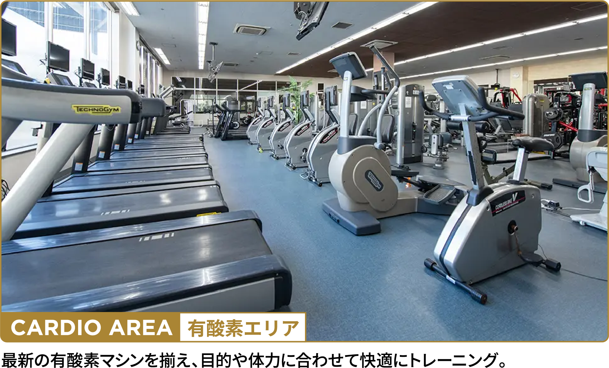 有酸素エリア。最新の有酸素マシンを揃え、目的や体力に合わせて快適にトレーニング。
