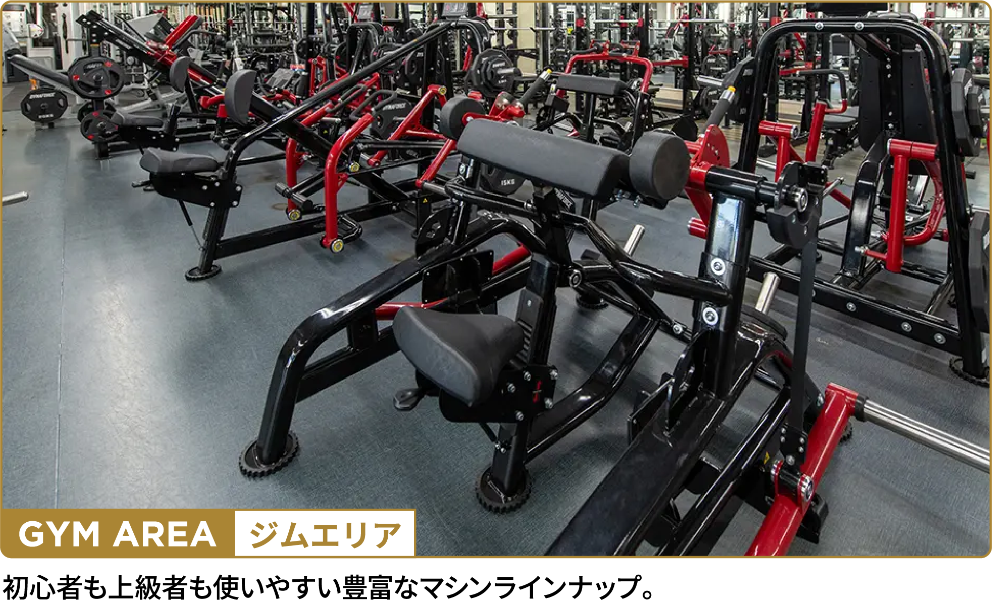 ジムエリア。初心者も上級者も使いやすい豊富なマシンラインナップ。